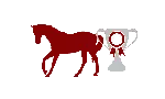 Copy of show icon_Horse equestrian Competition