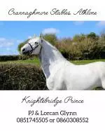 crannamore staples pj and lorcan glynn