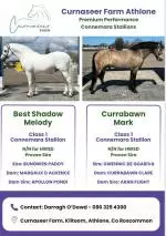 curnaseer farm darragh o dowd